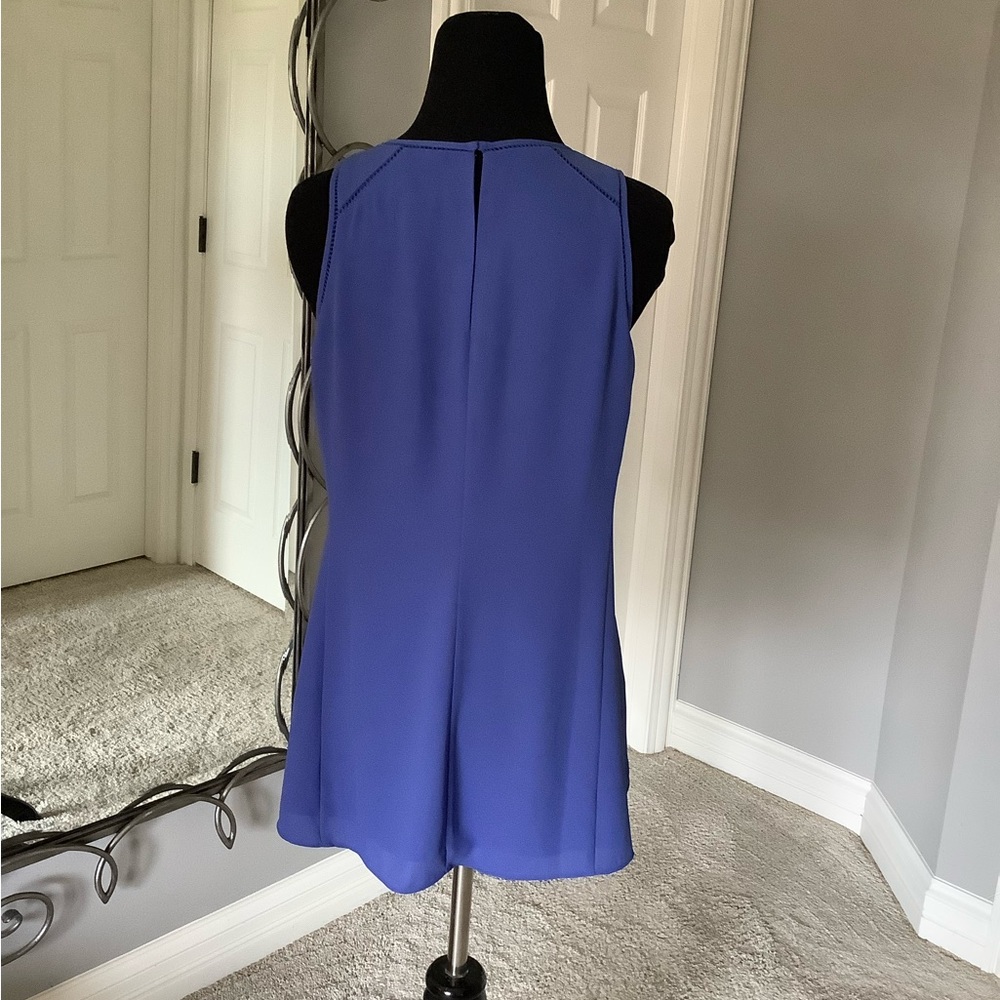 Periwinkle Perfect! - Picture 2 of 6